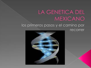 LA GENETICA DEL MEXICANO  los primeros pasos y el camino por recorrer 