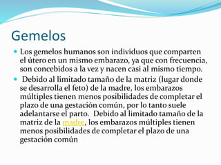 Gemelos
 Los gemelos humanos son individuos que comparten
el útero en un mismo embarazo, ya que con frecuencia,
son concebidos a la vez y nacen casi al mismo tiempo.
 Debido al limitado tamaño de la matriz (lugar donde
se desarrolla el feto) de la madre, los embarazos
múltiples tienen menos posibilidades de completar el
plazo de una gestación común, por lo tanto suele
adelantarse el parto. Debido al limitado tamaño de la
matriz de la madre, los embarazos múltiples tienen
menos posibilidades de completar el plazo de una
gestación común
 