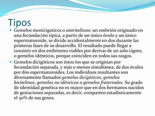 Tipos
 Gemelos monicigoticos o univitelinos: un embrión originado en
una fecundación típica, a partir de un único óvulo y un único
espermatozoide, se divide accidentalmente en dos durante las
primeras fases de su desarrollo. El resultado puede llegar a
consistir en dos embriones viables por derivar de un solo cigoto,
o gemelos idénticos, porque coinciden en todos sus rasgos.
 Gemelos dicigóticos son éstos los que se originan por
fecundación separada, y más o menos simultánea, de dos óvulos
por dos espermatozoides. Los individuos resultantes son
diversamente llamados gemelos dicigóticos, gemelos
bivitelinos, gemelos no idénticos o gemelos fraternales. Su grado
de identidad genética no es mayor que en dos hermanos nacidos
de gestaciones separadas, es decir, comparten estadísticamente
el 50% de sus genes.
 