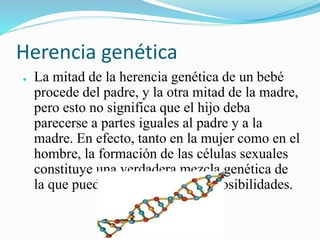 Herencia genética
● La mitad de la herencia genética de un bebé
procede del padre, y la otra mitad de la madre,
pero esto no significa que el hijo deba
parecerse a partes iguales al padre y a la
madre. En efecto, tanto en la mujer como en el
hombre, la formación de las células sexuales
constituye una verdadera mezcla genética de
la que pueden resultar miles de posibilidades.
 