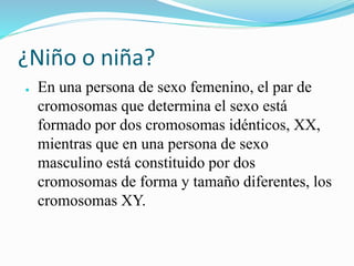 ¿Niño o niña?
● En una persona de sexo femenino, el par de
cromosomas que determina el sexo está
formado por dos cromosomas idénticos, XX,
mientras que en una persona de sexo
masculino está constituido por dos
cromosomas de forma y tamaño diferentes, los
cromosomas XY.
 
