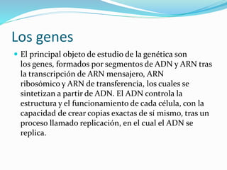 Los genes
 El principal objeto de estudio de la genética son
los genes, formados por segmentos de ADN y ARN tras
la transcripción de ARN mensajero, ARN
ribosómico y ARN de transferencia, los cuales se
sintetizan a partir de ADN. El ADN controla la
estructura y el funcionamiento de cada célula, con la
capacidad de crear copias exactas de sí mismo, tras un
proceso llamado replicación, en el cual el ADN se
replica.
 