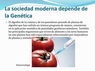 La sociedad moderna depende de
la Genética
 El algodón de tu camisa y de tus pantalones procede de plantas de
algodón que han sufrido un intenso programa de mejora, consistente
en la aplicación metódica de postulados genéticos estándares. También
los principales organismos que sirven de alimento a los seres humanos
en este planeta han sido especialmente seleccionados por mejoradores
de plantas y animales.
biotecnología
 