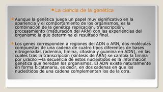 La ciencia de la genética
Aunque la genética juega un papel muy significativo en la
apariencia y el comportamiento de los organismos, es la
combinación de la genética replicación, transcripción,
procesamiento (maduración del ARN) con las experiencias del
organismo la que determina el resultado final.
Los genes corresponden a regiones del ADN o ARN, dos moléculas
compuestas de una cadena de cuatro tipos diferentes de bases
nitrogenadas (adenina, timina, citosina y guanina en ADN), en las
cuales tras la transcripción (síntesis de ARN) se cambia la timina
por uracilo —la secuencia de estos nucleótidos es la información
genética que heredan los organismos. El ADN existe naturalmente
en forma bicatenaria, es decir, en dos cadenas en que los
nucleótidos de una cadena complementan los de la otra.
 
