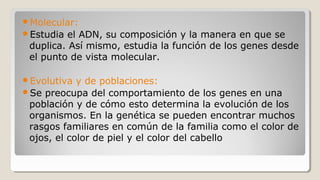 Molecular:
Estudia el ADN, su composición y la manera en que se
duplica. Así mismo, estudia la función de los genes desde
el punto de vista molecular.
Evolutiva y de poblaciones:
Se preocupa del comportamiento de los genes en una
población y de cómo esto determina la evolución de los
organismos. En la genética se pueden encontrar muchos
rasgos familiares en común de la familia como el color de
ojos, el color de piel y el color del cabello
 