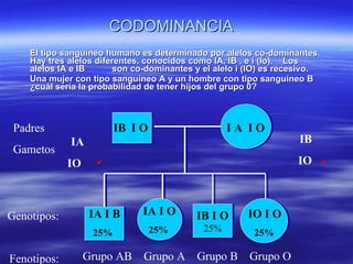 Codominante La GenéTica Mendeliana | PPT