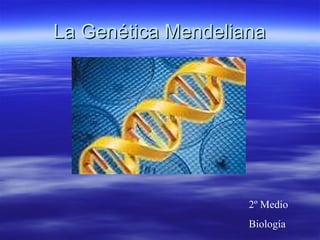 La Genética Mendeliana 2º Medio Biología 