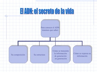 Para conocer el ADN
Para conocer el ADN
tenemos que saber:
tenemos que saber:

Su composición
Su composición

Su estructura
Su estructura

Cómo se transmite
Cómo se transmite
la información
la información
de generación
de generación
en generación
en generación

Cómo se expresa su
Cómo se expresa su
información
información

 