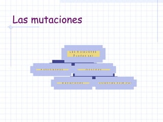 Las mutaciones
L a s m u t a c io n e s
P ueden ser
E s p o n tá n e a s
R a d ia c io n e s

I n d u c id a s
S u s t a n c ia s q u ím ic a s

 