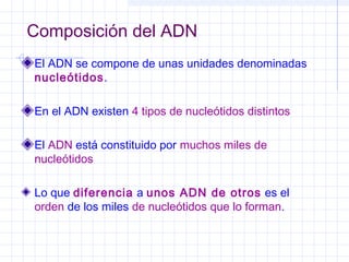 Composición del ADN
El ADN se compone de unas unidades denominadas
nucleótidos.
En el ADN existen 4 tipos de nucleótidos distintos
El ADN está constituido por muchos miles de
nucleótidos
Lo que diferencia a unos ADN de otros es el
orden de los miles de nucleótidos que lo forman.

 