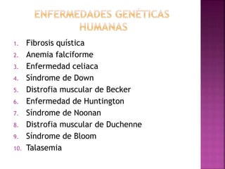 1. Fibrosis quística
2. Anemia falciforme
3. Enfermedad celiaca
4. Síndrome de Down
5. Distrofia muscular de Becker
6. Enfermedad de Huntington
7. Síndrome de Noonan
8. Distrofia muscular de Duchenne
9. Síndrome de Bloom
10. Talasemia
 