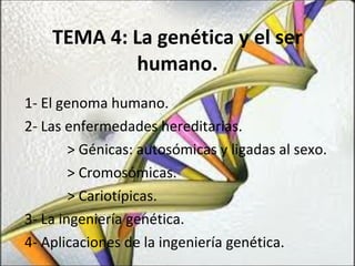 TEMA 4: La genética y el ser humano. 1- El genoma humano. 2- Las enfermedades hereditarias. > Génicas: autosómicas y ligadas al sexo. > Cromosómicas. > Cariotípicas. 3- La ingeniería genética. 4- Aplicaciones de la ingeniería genética. 