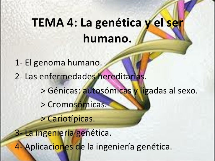 La Genetica Y El Ser Humano