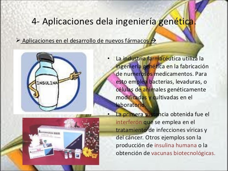 La Genetica Y El Ser Humano