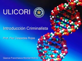 ULICORI
Gianca Franchesca Montiel Molina
Prof. Flor Cespedes Rojas
Introducción Criminalísta
 