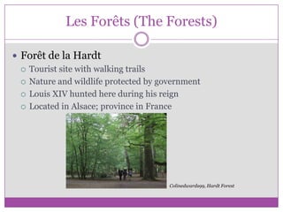 Les Forêts (The Forests)Forêt de la HardtTourist site with walking trailsNature and wildlife protected by governmentLouis XIV hunted here during his reignLocated in Alsace; province in FranceColinedwards99, Hardt Forest