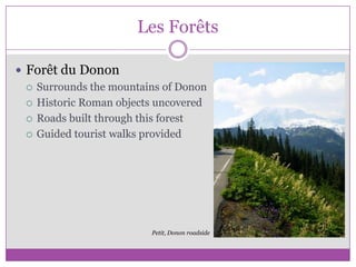 Les ForêtsForêt du DononSurrounds the mountains of DononHistoric Roman objects uncoveredRoads built through this forestGuided tourist walks providedPetit, Donon roadside