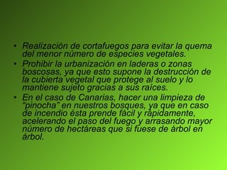 Realización de cortafuegos para evitar la quema del menor número de especies vegetales. Prohibir la urbanización en laderas o zonas boscosas, ya que esto supone la destrucción de la cubierta vegetal que protege al suelo y lo mantiene sujeto gracias a sus raíces. En el caso de Canarias, hacer una limpieza de “pinocha” en nuestros bosques, ya que en caso de incendio ésta prende fácil y rápidamente, acelerando el paso del fuego y arrasando mayor número de hectáreas que si fuese de árbol en árbol. 