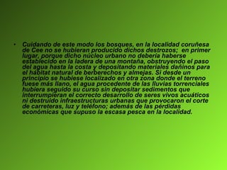 Cuidando de este modo los bosques, en la localidad coruñesa de Cee no se hubieran producido dichos destrozos;  en primer lugar, porque dicho núcleo urbano no debería haberse establecido en la ladera de una montaña, obstruyendo el paso del agua hasta la costa y depositando materiales dañinos para el hábitat natural de berberechos y almejas. Si desde un principio se hubiese localizado en otra zona donde el terreno fuese más llano, el agua procedente de las lluvias torrenciales hubiera seguido su curso sin depositar sedimentos que interrumpieran el correcto desarrollo de seres vivos acuáticos ni destruido infraestructuras urbanas que provocaron el corte de carreteras, luz y teléfono; además de las pérdidas económicas que supuso la escasa pesca en la localidad. 