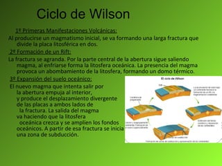 Ciclo de Wilson 1º Primeras Manifestaciones Volcánicas: Al producirse un magmatismo inicial, se va formando una larga fractura que divide la placa litosférica en dos. 2º Formación de un Rift: La fractura se agranda. Por la parte central de la abertura sigue saliendo magma, al enfriarse forma la litosfera oceánica. La presencia del magma provoca un abombamiento de la litosfera, formando un domo térmico. 3º Expansión del suelo oceánico: El nuevo magma que intenta salir por  la abertura empuja al interior,  y produce el desplazamiento divergente  de las placas a ambos lados de  la fractura. La salida del magma  va haciendo que la litosfera  oceánica crezca y se amplíen los fondos  oceánicos. A partir de esa fractura se inicia  una zona de subducción. 
