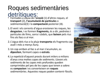 Roques sedimentàries
detrítiques:• Formades a causa de l’erosió (1) d’altres roques, el
transport (2), l’acumulació de partícules o
sedimentació(3) i la compactació posterior (4).
1.El vent i els corrents d’aigua erosionen les roques, les
desgasten, i es formen fragments, és a dir, pedretes i
partícules de llims, sorra i còdols, que baixen pels rius
fins als llacs o al mar.
2.L’aigua dels rius o la pluja transporta els fragments cap
avall i més o menys lluny.
3.Un cop arriben al llac o al mar s’acumulen, es
dipositen, formant capes o estrats.
4.La repetició d'aquest procés durant milers o milions
d'anys crea moltes capes de sediments. Llavors els
sediments de les capes més profundes queden
comprimides pel pes de les capes que tenen a sobre:
es compacten i es converteixen en roques
sedimentàries. Aquestes roques poden contenir fòssils.
 