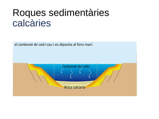 Roques sedimentàries
calcàries
Carbonat de calci
Roca calcària
el carbonat de calci cau i es diposita al fons marí.
 
