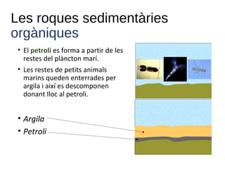 Les roques sedimentàries
orgàniques
• El petroli es forma a partir de les
restes del plàncton marí.
• Les restes de petits animals
marins queden enterrades per
argila i així es descomponen
donant lloc al petroli.
• Argila
• Petroli
 