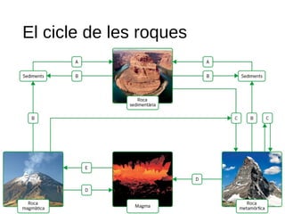 El cicle de les roques
 