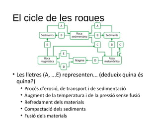 El cicle de les roques
• Les lletres (A, ...E) representen... (dedueix quina és
quina?)
• Procés d’erosió, de transport i de sedimentació
• Augment de la temperatura i de la pressió sense fusió
• Refredament dels materials
• Compactació dels sediments
• Fusió dels materials
 