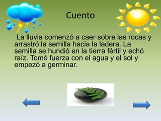 Cuento

 La lluvia comenzó a caer sobre las rocas y
arrastró la semilla hacia la ladera. La
semilla se hundió en la tierra fértil y echó
raíz. Tomó fuerza con el agua y el sol y
empezó a germinar.
 