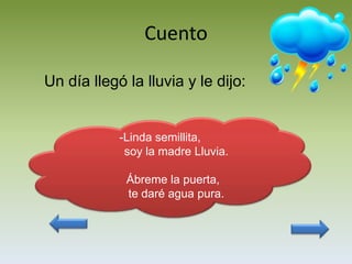 Cuento

Un día llegó la lluvia y le dijo:


            -Linda semillita,
             soy la madre Lluvia.

             Ábreme la puerta,
             te daré agua pura.
 