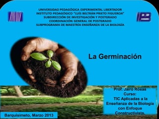La Germinación



                                  Prof. Jairo Rosas
                                        Curso:
                                  TIC Aplicadas a la
                               Enseñanza de la Biología
                                    con Enfoque
                                   Constructivista.
Barquisimeto, Marzo 2013
 