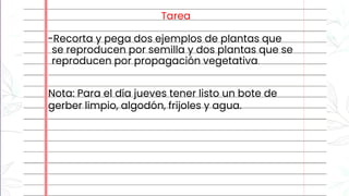 Tarea
-Recorta y pega dos ejemplos de plantas que
se reproducen por semilla y dos plantas que se
reproducen por propagación vegetativa.
Nota: Para el día jueves tener listo un bote de
gerber limpio, algodón, frijoles y agua.