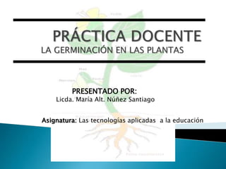 LA GERMINACIÓN EN LAS PLANTAS
PRESENTADO POR:
Licda. María Alt. Núñez Santiago
Asignatura: Las tecnologías aplicadas a la educación
 