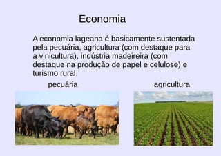 Economia
A economia lageana é basicamente sustentada
pela pecuária, agricultura (com destaque para
a vinicultura), indústria madeireira (com
destaque na produção de papel e celulose) e
turismo rural.
agriculturapecuária
 