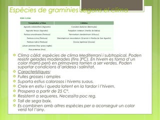 Espècies de gramínies segons el clima




    Clima càlid: espècies de clima Mediterrani i subtropical. Poden
     resistir gelades moderades (fins 3ºC). En hivern es torna d’un
     color marró però en primavera tornen a ser verdes. Poden
     suportar condicions d’aridesa i salinitat.
    Característiques:
    Fulles grosses i amples
    Suporta estius calorosos i hiverns suaus.
    Creix en estiu i queda latent en la tardor i l’hivern.
    Prospera a partir de 25 Cº.
    Resistent a sequeres. Necessita poc reg.
    Tall de sega baix.
    Es combinen amb altres espècies per a aconseguir un color
     verd tot l’any.
 