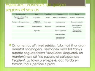 Espècies i varietats de gespa
segons el seu ús




    Ornamental: alt nivell estètic, fulla molt fina, gran
     densitat i homogeni. Permaneix verd tot l’any i
     suporta segues baixes i freqüents. Requereix un
     manteniment alt i no suporta el calcigament
     freqüent. La llavor o el tepe és car. Tarda en
     formar una superfície tupida.
 
