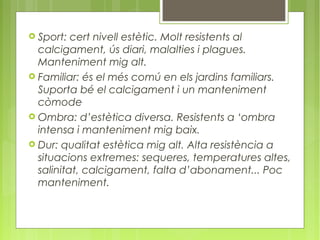  Sport: cert nivell estètic. Molt resistents al
  calcigament, ús diari, malalties i plagues.
  Manteniment mig alt.
 Familiar: és el més comú en els jardins familiars.
  Suporta bé el calcigament i un manteniment
  còmode
 Ombra: d’estètica diversa. Resistents a ‘ombra
  intensa i manteniment mig baix.
 Dur: qualitat estètica mig alt. Alta resistència a
  situacions extremes: sequeres, temperatures altes,
  salinitat, calcigament, falta d’abonament... Poc
  manteniment.
 
