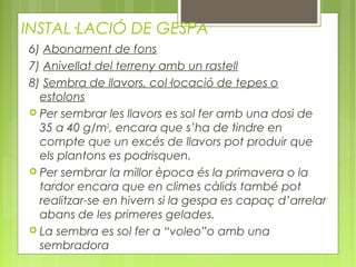 INSTAL·LACIÓ DE GESPA
6) Abonament de fons
7) Anivellat del terreny amb un rastell
8) Sembra de llavors, col·locació de tepes o
  estolons
 Per sembrar les llavors es sol fer amb una dosi de
  35 a 40 g/m2, encara que s’ha de tindre en
  compte que un excés de llavors pot produir que
  els plantons es podrisquen.
 Per sembrar la millor època és la primavera o la
  tardor encara que en climes càlids també pot
  realitzar-se en hivern si la gespa es capaç d’arrelar
  abans de les primeres gelades.
 La sembra es sol fer a “voleo”o amb una
  sembradora
 
