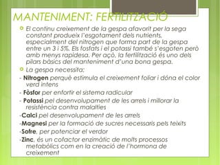 MANTENIMENT: FERTILITZACIÓ
   El continu creixement de la gespa afavorit per la sega
    constant produeix l’esgotament dels nutrients,
    especialment del nitrogen que forma part de la gespa
    entre un 3 i 5%. Els fosfats i el potassi també s’esgoten però
    amb menys rapidesa. Per açò, la fertilització és uno dels
    pilars bàsics del manteniment d’una bona gespa.
  La gespa necessita:
 - Nitrogen perquè estimula el creixement foliar i dóna el color
    verd intens
 - Fòsfor per enfortir el sistema radicular
 - Potassi pel desenvolupament de les arrels i millorar la
    resistència contra malalties
 -Calci pel desenvolupament de les arrels
 -Magnesi per la formació de sucres necessaris pels teixits
 -Sofre, per potenciar el verdor
 -Zinc, és un cofactor enzimàtic de molts processos
    metabòlics com en la creació de l’hormona de
    creixement
 