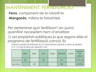 MANTENIMENT: FERTILITZACIÓ
-Ferro, component de la clorofil·la
-Manganès, millora la fotosíntesi.

Per determinar quin fertilitzant i en quina
quantitat necessitem hem d’analitzar:
1) Les propietats edàfiques ja que segons elles el
programa de fertilització canvia. Ex

-
 