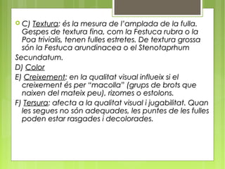  C) Textura: és la mesura de l’amplada de la fulla.
  Gespes de textura fina, com la Festuca rubra o la
  Poa trivialis, tenen fulles estretes. De textura grossa
  són la Festuca arundinacea o el Stenotaprhum
Secundatum.
D) Color
E) Creixement: en la qualitat visual influeix si el
  creixement és per “macolla” (grups de brots que
  naixen del mateix peu), rizomes o estolons.
F) Tersura: afecta a la qualitat visual i jugabilitat. Quan
  les segues no són adequades, les puntes de les fulles
  poden estar rasgades i decolorades.
 