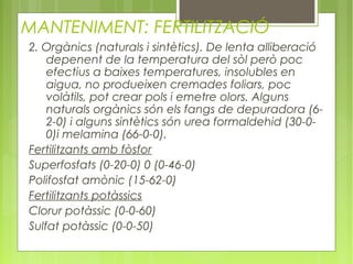 MANTENIMENT: FERTILITZACIÓ
2. Orgànics (naturals i sintètics). De lenta alliberació
    depenent de la temperatura del sòl però poc
    efectius a baixes temperatures, insolubles en
    aigua, no produeixen cremades foliars, poc
    volàtils, pot crear pols i emetre olors. Alguns
    naturals orgànics són els fangs de depuradora (6-
    2-0) i alguns sintètics són urea formaldehid (30-0-
    0)i melamina (66-0-0).
Fertilitzants amb fòsfor
Superfosfats (0-20-0) 0 (0-46-0)
Polifosfat amònic (15-62-0)
Fertilitzants potàssics
Clorur potàssic (0-0-60)
Sulfat potàssic (0-0-50)
 