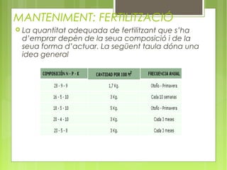 MANTENIMENT: FERTILITZACIÓ
   La quantitat adequada de fertilitzant que s’ha
    d’emprar depèn de la seua composició i de la
    seua forma d’actuar. La següent taula dóna una
    idea general
 