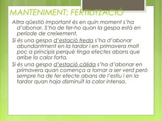 MANTENIMENT: FERTILITZACIÓ
Altra qüestió important és en quin moment s’ha
   d’abonar. S’ha de fer-ho quan la gespa està en
   període de creixement.
Si és una gespa d’estació freda s’ha d’abonar
   abundantment en la tardor i en primavera molt
   poc a principis perquè tinga efectes abans que
   arribe la calor forta.
Si és una gespa d’estació càlida s’ha d’abonar en
   primavera quan comença a tornar a ser verd però
   sempre ha de fer efecte abans de l’estiu i en la
   tardor quan haja disminuït la calor intensa.
 