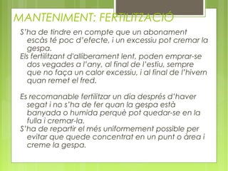 MANTENIMENT: FERTILITZACIÓ
 S’ha de tindre en compte que un abonament
   escàs té poc d’efecte, i un excessiu pot cremar la
   gespa.
 Els fertilitzant d'alliberament lent, poden emprar-se
   dos vegades a l’any, al final de l’estiu, sempre
   que no faça un calor excessiu, i al final de l’hivern
   quan remet el fred.
       
 Es recomanable fertilitzar un dia després d’haver
   segat i no s’ha de fer quan la gespa està
   banyada o humida perquè pot quedar-se en la
   fulla i cremar-la.
 S’ha de repartir el més uniformement possible per
   evitar que quede concentrat en un punt o àrea i
   creme la gespa.
 