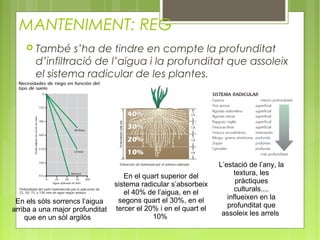 MANTENIMENT: REG
       També s’ha de tindre en compte la profunditat
        d’infiltració de l’aigua i la profunditat que assoleix
        el sistema radicular de les plantes.




                                                                  L’estació de l’any, la
                                    En el quart superior del           textura, les
                                 sistema radicular s’absorbeix          pràctiques
                                    el 40% de l’aigua, en el           culturals....
                                  segons quart el 30%, en el         influeixen en la
 En els sòls sorrencs l’aigua
                                 tercer el 20% i en el quart el      profunditat que
arriba a una major profunditat
                                             10%                   assoleix les arrels
    que en un sòl argilós
 