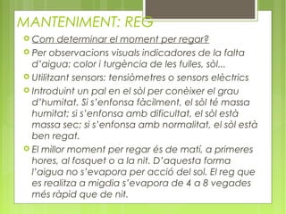 MANTENIMENT: REG
 Com determinar el moment per regar?
 Per observacions visuals indicadores de la falta
  d’aigua: color i turgència de les fulles, sòl...
 Utilitzant sensors: tensiòmetres o sensors elèctrics
 Introduint un pal en el sòl per conèixer el grau
  d’humitat. Si s’enfonsa fàcilment, el sòl té massa
  humitat; si s’enfonsa amb dificultat, el sòl està
  massa sec; si s’enfonsa amb normalitat, el sòl està
  ben regat.
 El millor moment per regar és de matí, a primeres
  hores, al fosquet o a la nit. D’aquesta forma
  l’aigua no s’evapora per acció del sol. El reg que
  es realitza a migdia s’evapora de 4 a 8 vegades
  més ràpid que de nit.
 