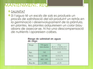 MANTENIMENT: REG
  SALINITAT
  Si l’aigua té un excés de sals es produeix un
   procés de salinització del sòl produint un retràs en
   la germinació i desenvolupament de la plàntula,
   en plantes, les plantes adquireixen un color blau
   abans de assecar-se, hi ha una descompensació
   de nutrients i apareixen calbes.
 
