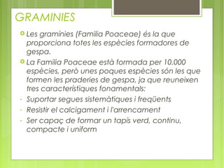 GRAMINIES
 Les gramínies (Familia Poaceae) és la que
  proporciona totes les espècies formadores de
  gespa.
 La Familia Poaceae està formada per 10.000
  espècies, però unes poques espècies són les que
  formen les praderies de gespa, ja que reuneixen
  tres característiques fonamentals:
- Suportar segues sistemàtiques i freqüents
- Resistir el calcigament i l'arrencament
- Ser capaç de formar un tapís verd, continu,
  compacte i uniform
 